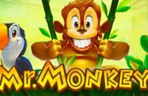 Mr. Monkey Pokie Review